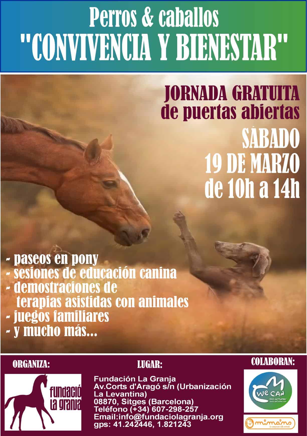 JORNADA GRATUITA DE PUERTAS ABIERTAS - FUNDACIÓ LA GRANJA